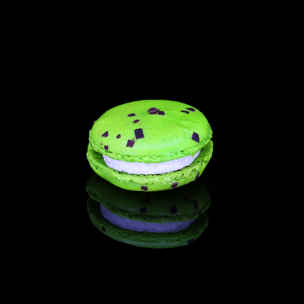 macaron_pomme_patisserie_claire_et_romain