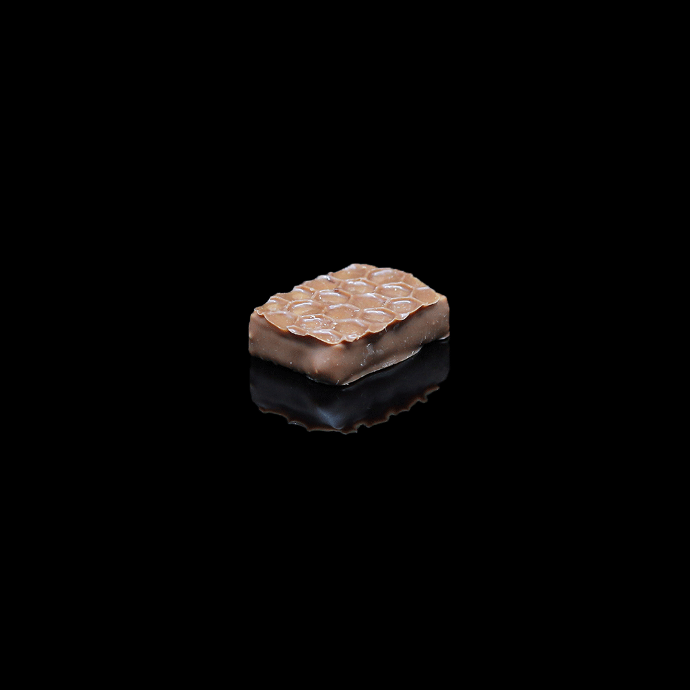 chocolat_praline_noix_de_pecan_lait_patisserie_claire_et_romain
